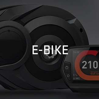 Voir nos vélos Whistle E-bike
